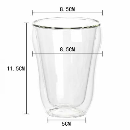 Starbucks Double Wall Glass Cups