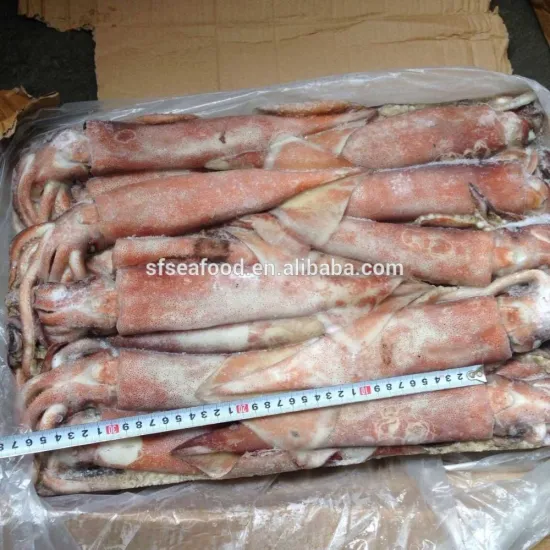 200-300g Frozen Seafood Japanese Flying Squid