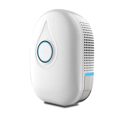 Smart Home Dehumidifier for a Mold-Free, Dry Environment