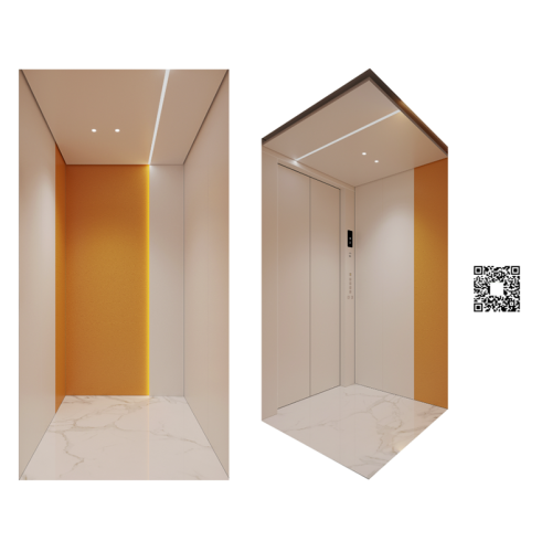 Conception de capsule d’ascenseur domestique