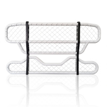 Custom Deer Guard for Scania r420