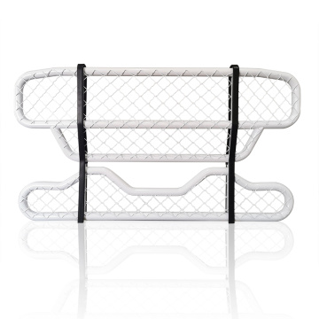 Custom Deer Guard for Scania r420