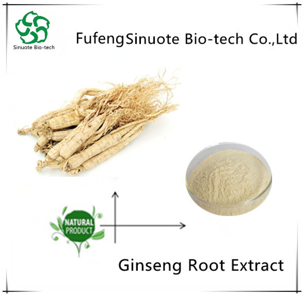 Extracto de raíz de ginseng ginsensides 80% polvo