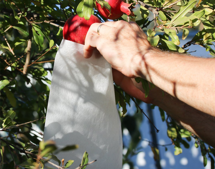 Pomegranate Anti Bird Protection Bag