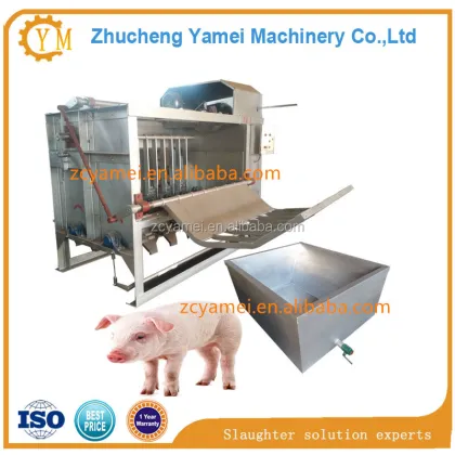 Pig Dehairing Machine / Pig Slaughter Equipment