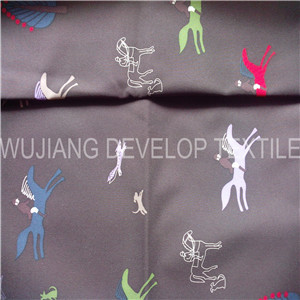 Polyester Printed Fabric/Printing Fabric/Jacket Fabric/Down Jacket Fabric (DT2027)