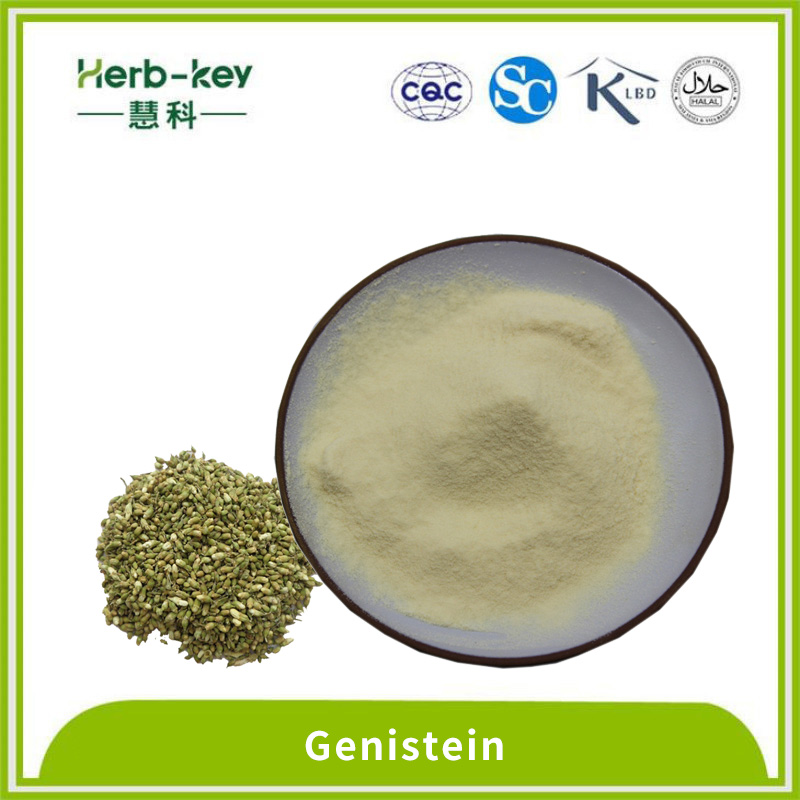 Anticancer action high purity 98% genistein