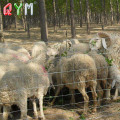 Mala de alambre de la granja de la granja Galvanized Cattle Fence Panle