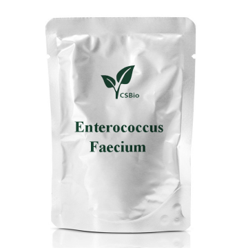 CSBIO -Versorgung Probiotics Pulver von Enterococcus faecium