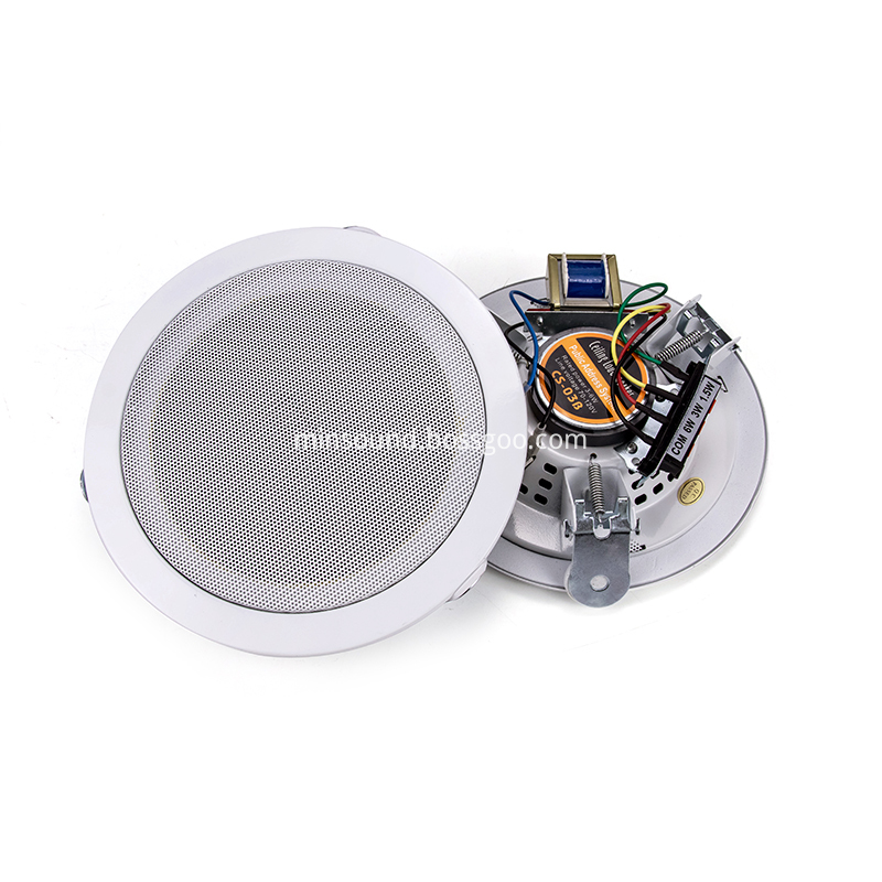 Fire Protection Ceiling Speaker
