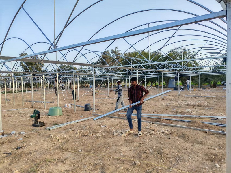 Chongqing Qingcheng Agriculture Accelerates Overseas Expansion; Qatar Greenhouse Project Progress Receives High Praise