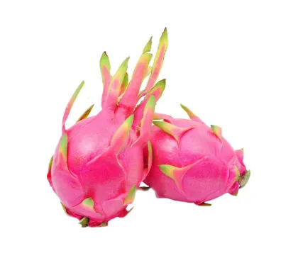 Natural Organic Freeze Dried Red Dragon Fruit Powder