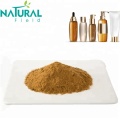 Hot Selling powder pharmaceutical grade water souble ginger extract Factory