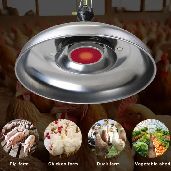 High Quality Biogas Heating Lamp for Farms and Greenhouses