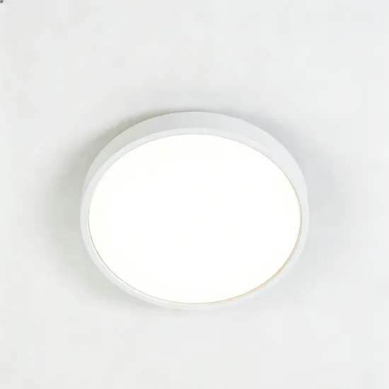 Ceiling-mounted light with gentle brightness