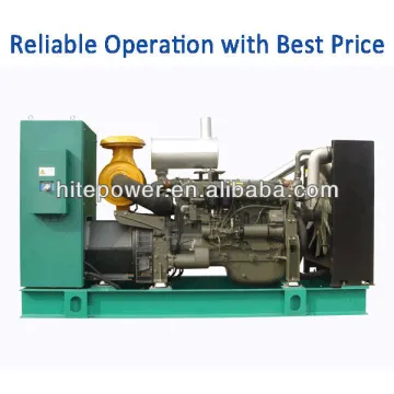 Discount Price Automatic Digital Control steyr generating set