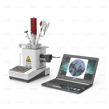 High Pressure Reactor Vessel with Agitator - Chemical Reactor Price
