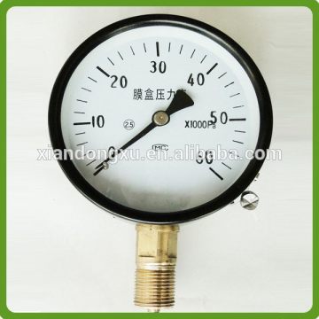 Different type hot sell diaphragm type pressure gauge
