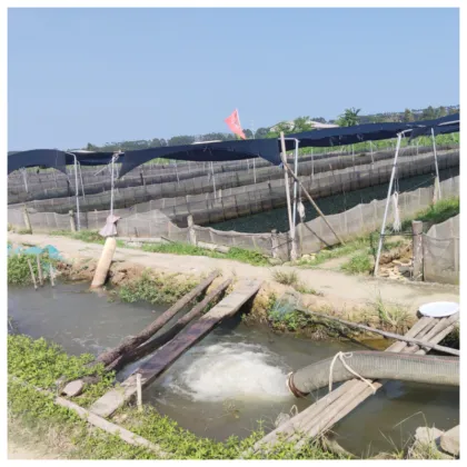 Bullfrog Breeding Purse Seine Techniques