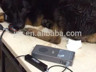 vet doopler blood pressure meter factory supply