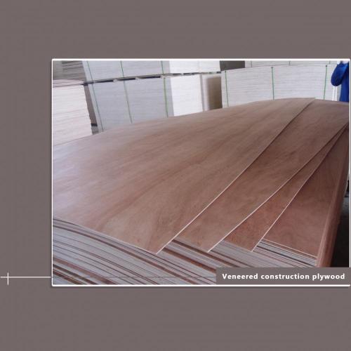 Packaging Grade Plywood E1