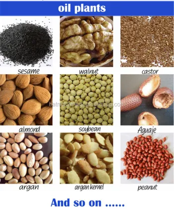 Small Capacity Soybean Extruder Sunflower Seed Oil Press Machine