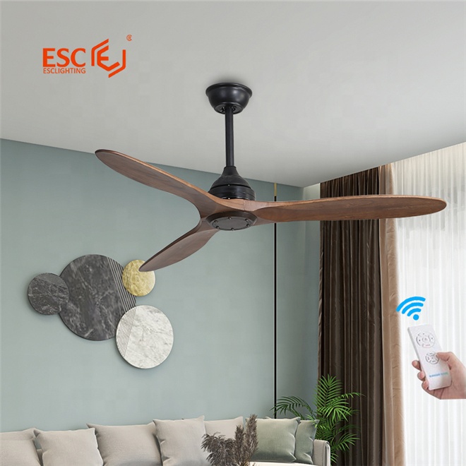 smart ceiling fan 