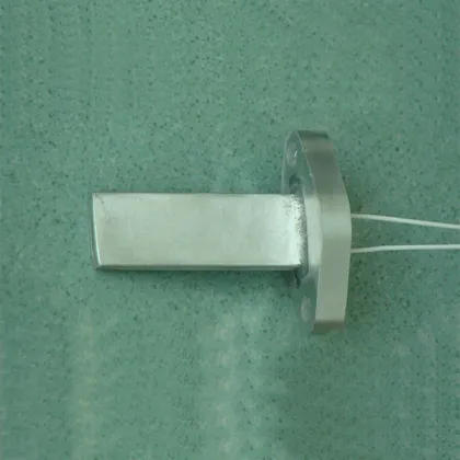 PTC heater with thermo-control meter