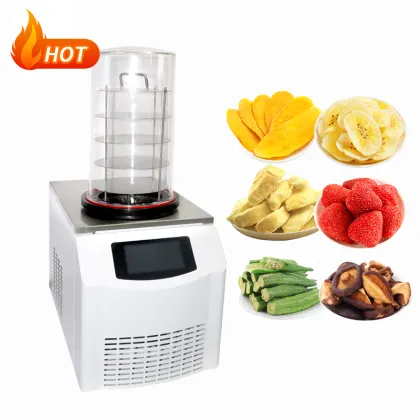 Labconco Vacuum Freeze Drying Equipment