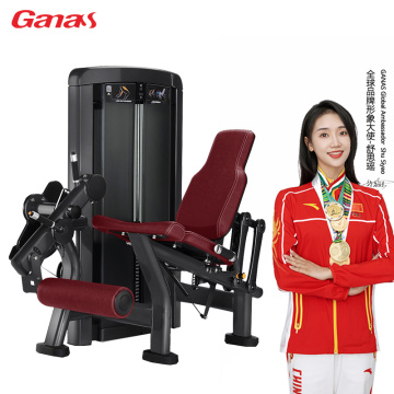 Thigh Extension Trainer Seated Leg Extension