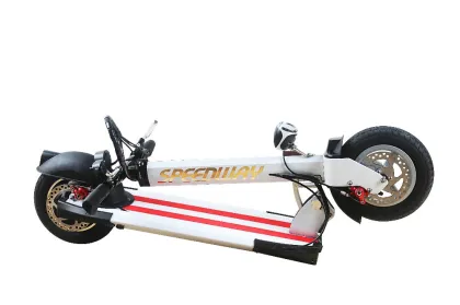 OEM/ODM service electric scooter factory /speedway Manufacturer of electric scooter