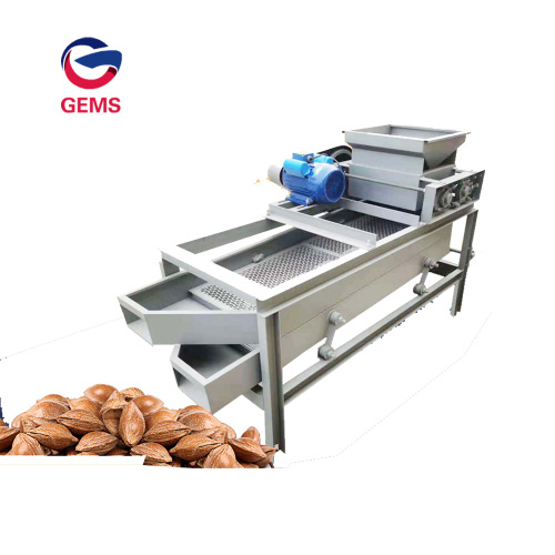 Palm pinenut sheller hazelnut walnut shell mesin terpisah