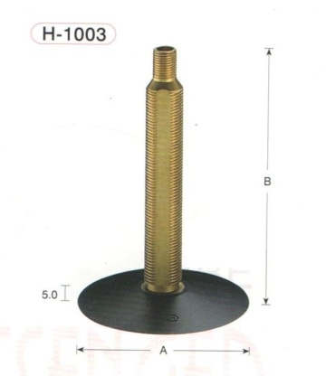 Passenger Car Tire Valve