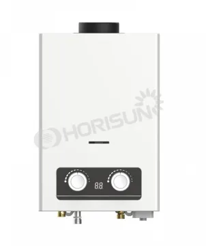 factory direct Flue Type Gas Water Heater