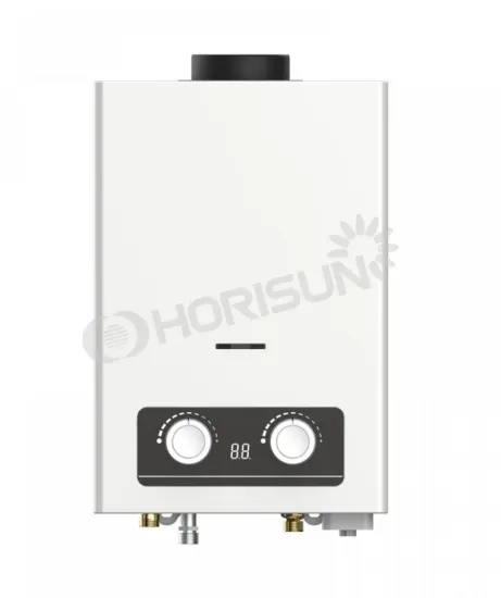 factory direct Flue Type Gas Water Heater