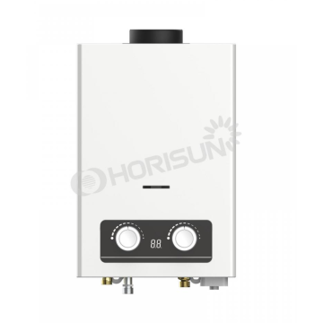 hot sale Flue Type Gas Water Heater