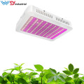 SAMSUNG lm301b lm301h fluence spydrx grow light 600w