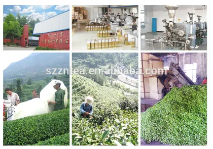 white fanning tea organic chinese green tea health benefits green tea