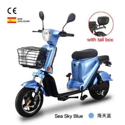 Large Lithium Battery Capacity Electric Bike Bicycle