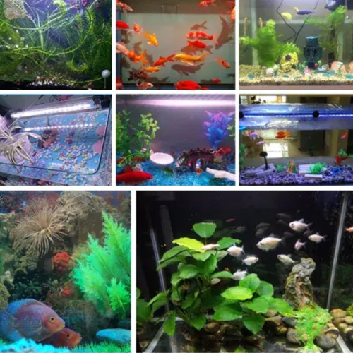 13 colori Bance di pesce Luce sommergibile per acquario