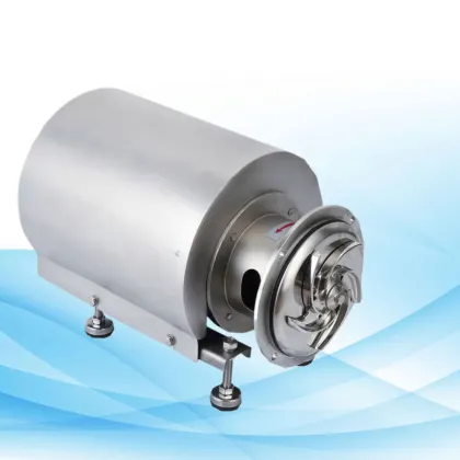 Andritz Electric Plunger Submersible Sand Slurry Centrifugal Pump for Sanitary Milk Industry