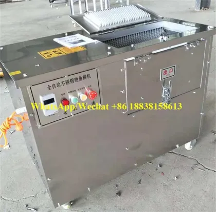 Industrial Fish Washer: Silver Carp and Snakehead Fish Scale Remover Machine
