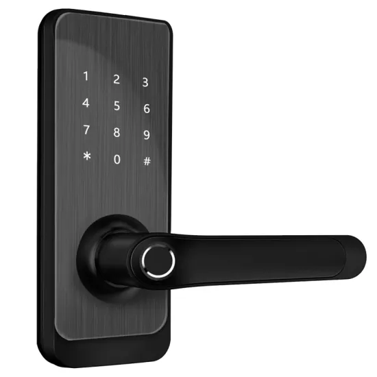 WIFI Door Lock for Office Security
