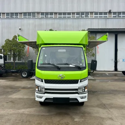 Single person food truck, global mobile food truck