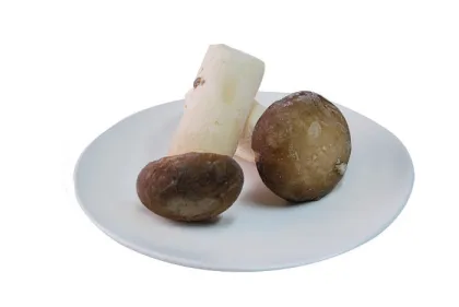 New Harvest Delicious Fresh Frozen Foods / Iqf Frozen Mushroom