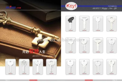 blank key cisa brass key