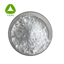 CAS 56-85-9 L Glutamine 99% L-Glutamine Powder