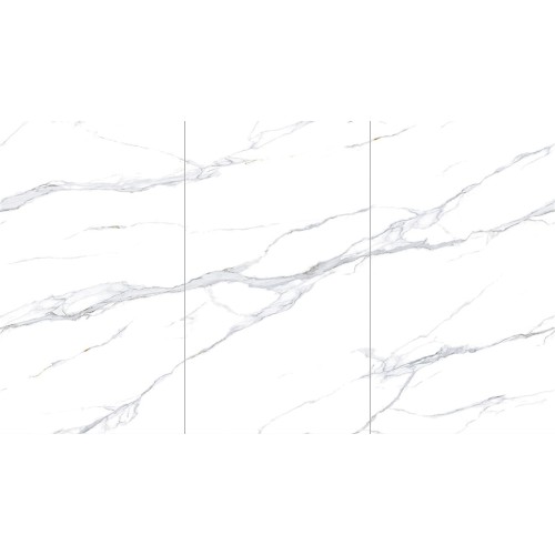 গ্রানাইট পালিশ আলপাইন হোয়াইট রক স্ল্যাব