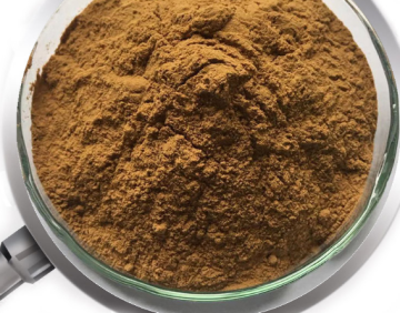 supply Dried Senna leaf extract powder