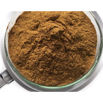 supply Dried Senna leaf extract powder